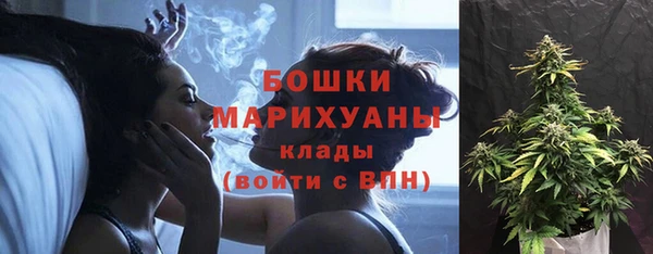 шишки Абдулино