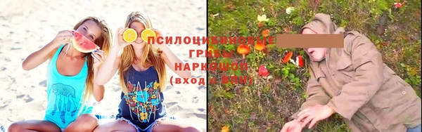 каннабис Алексеевка