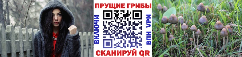 Галлюциногенные грибы Magic Shrooms  Ивангород 