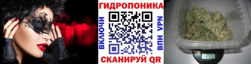 МАРИХУАНА White Widow  блэк спрут маркетплейс  Ивангород 
